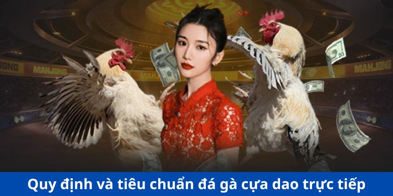 Quy định và tiêu chuẩn chọi kê cựa dao trực tiếp