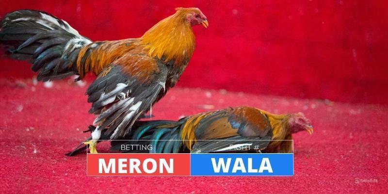Thông tin về Meron Wala là gì